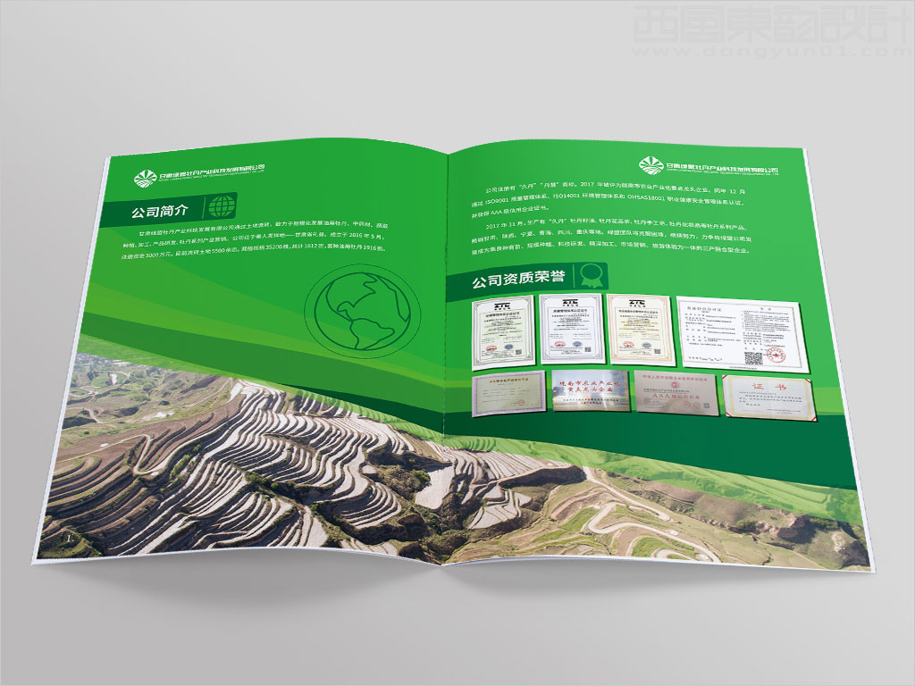 甘肅綠盟牡丹產業(yè)科技發(fā)展有限公司畫冊設計之公司簡介資質榮譽內頁設計圖片