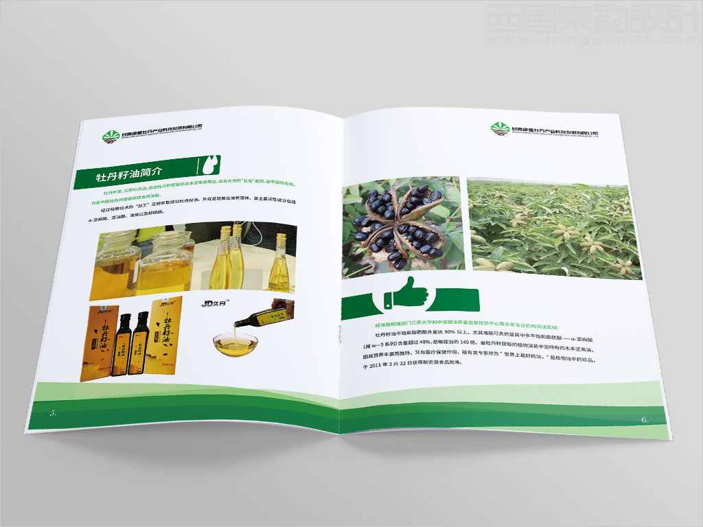 甘肅綠盟牡丹產業(yè)科技發(fā)展有限公司畫冊設計之牡丹籽油簡介內頁設計圖片